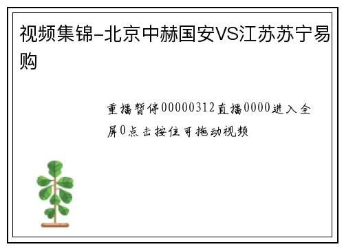 视频集锦-北京中赫国安VS江苏苏宁易购