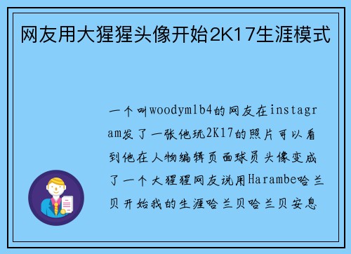 网友用大猩猩头像开始2K17生涯模式